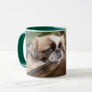 Cutest Baby Animals   Pekingese Puppy in Car Mug