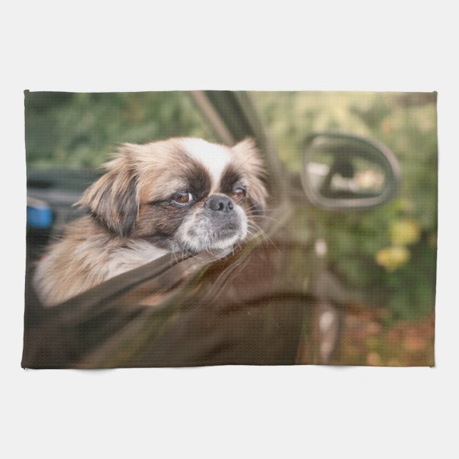 Cutest Baby Animals | Pekingese Puppy in Car Tea Towel (Horizontal)