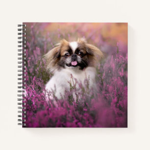 Cutest Baby Animals   Pekingese Puppy Notebook