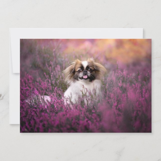 Cutest Baby Animals | Pekingese Puppy Thank You Card (Front)