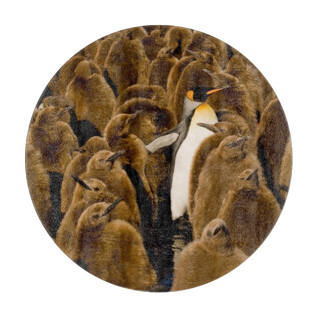 Cutest Baby Animals | Penguin Among Youngsters Cutting Board (Front)