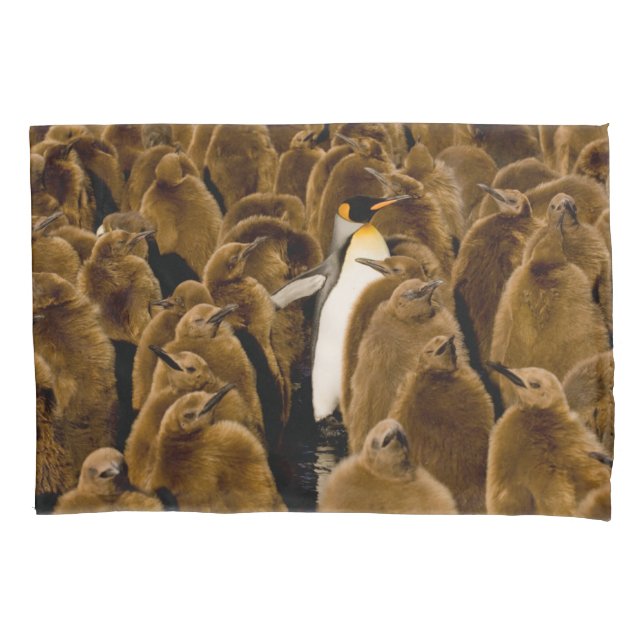 Cutest Baby Animals | Penguin Among Youngsters Pillowcase (Front)