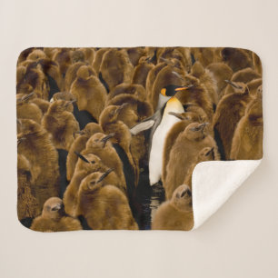 Cutest Baby Animals   Penguin Among Youngsters Sherpa Blanket