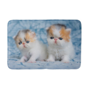 Cutest Baby Animals   Persian Calico Kitten Bath Mat
