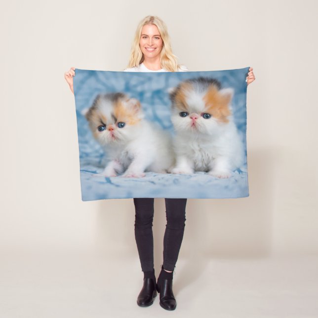Cutest Baby Animals | Persian Calico Kitten Fleece Blanket (In Situ)
