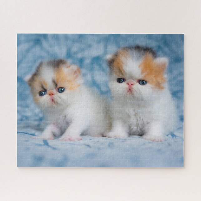 Cutest Baby Animals | Persian Calico Kitten Jigsaw Puzzle (Horizontal)