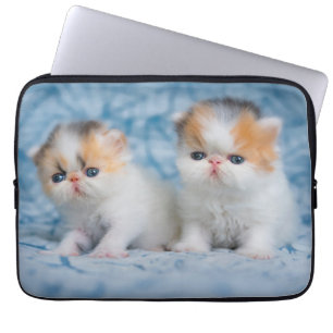 Cutest Baby Animals   Persian Calico Kitten Laptop Sleeve