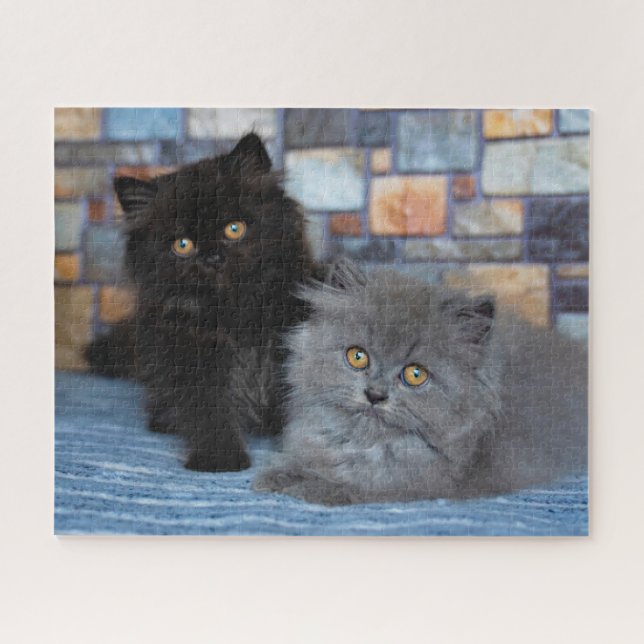 Cutest Baby Animals | Persian Kittens on Blanket Jigsaw Puzzle (Horizontal)