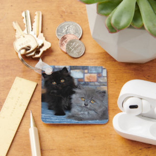 Cutest Baby Animals Persian Kittens on Blanket Key Ring