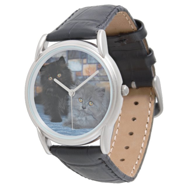 Cutest Baby Animals | Persian Kittens on Blanket Watch (Angled)