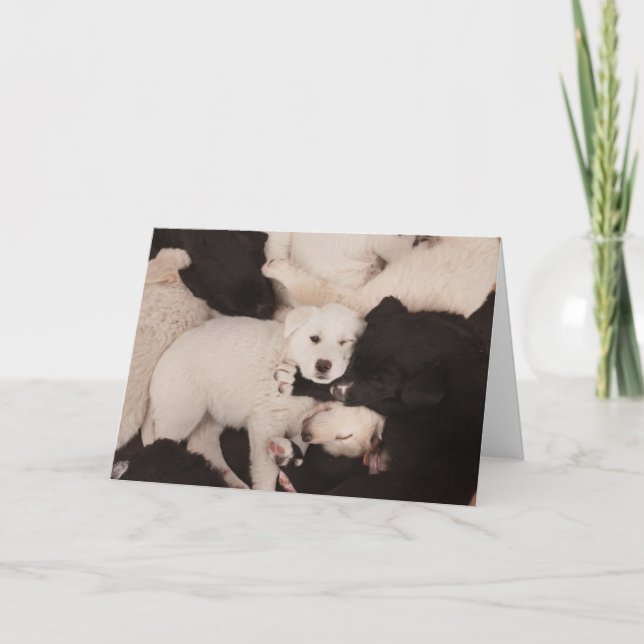 Cutest Baby Animals | Pile of Puppies Card (Front)