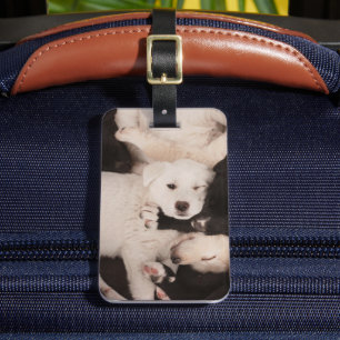 Cutest Baby Animals   Pile of Puppies Luggage Tag