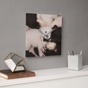 Cutest Baby Animals   Pile of Puppies Square Wall Clock