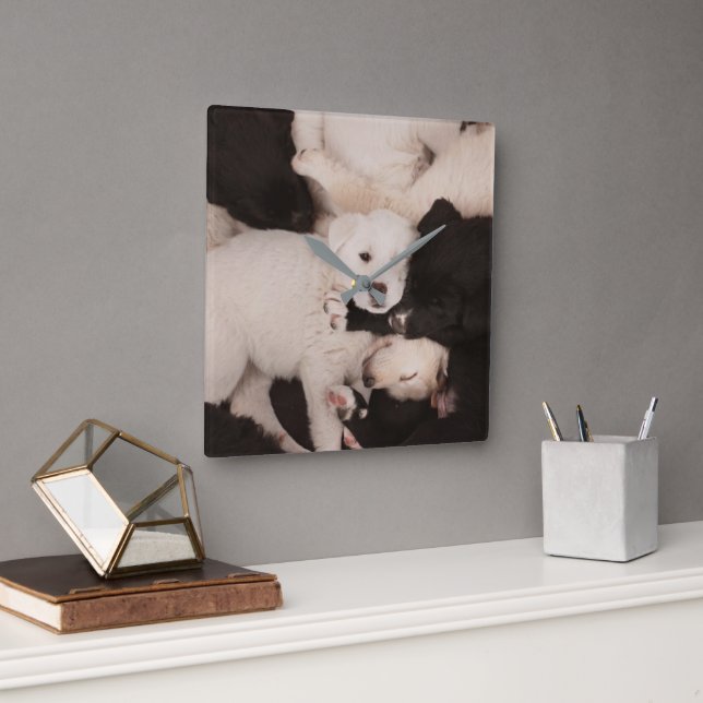Cutest Baby Animals | Pile of Puppies Square Wall Clock (Office)