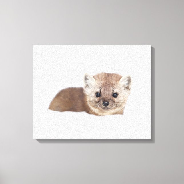 Cutest Baby Animals | Pine Marten Canvas Print (Front)