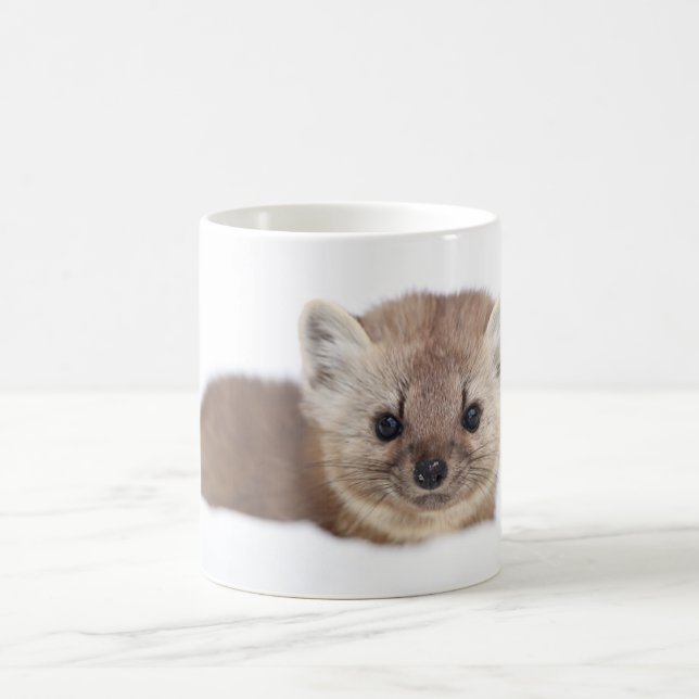 Cutest Baby Animals | Pine Marten Coffee Mug (Center)