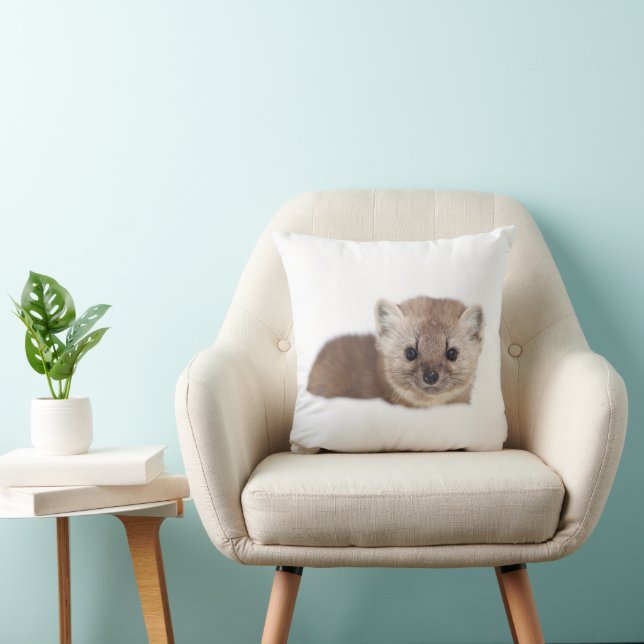 Cutest Baby Animals | Pine Marten Cushion (Chair)