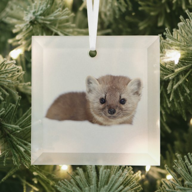 Cutest Baby Animals | Pine Marten Glass Tree Decoration (Insitu)