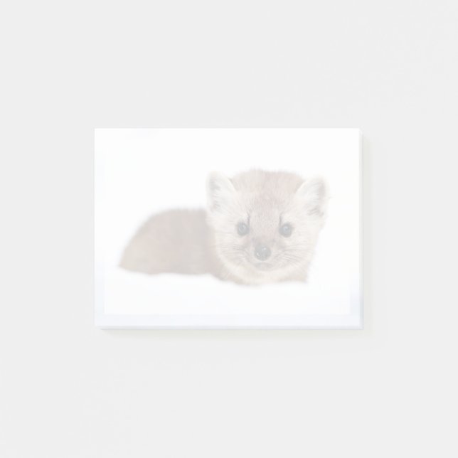 Cutest Baby Animals | Pine Marten Post-it Notes (Front)