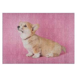 Cutest Baby Animals   Pink Corgi Puppy Cutting Board