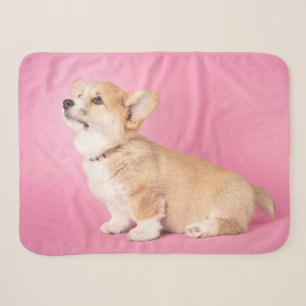Cutest Baby Animals Pink Corgi Puppy Sherpa Blanket
