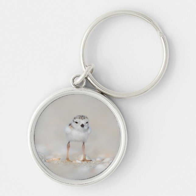 Cutest Baby Animals | Piping Plover Chick Key Ring (Front)
