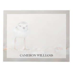 Cutest Baby Animals   Piping Plover Chick Notepad