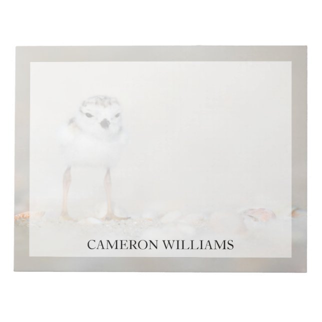 Cutest Baby Animals | Piping Plover Chick Notepad (Front)