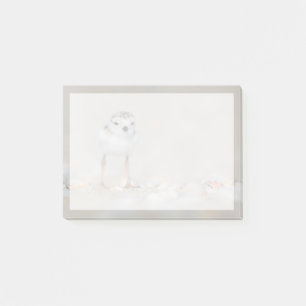 Cutest Baby Animals   Piping Plover Chick Post-it Notes