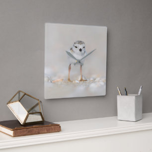 Cutest Baby Animals   Piping Plover Chick Square Wall Clock