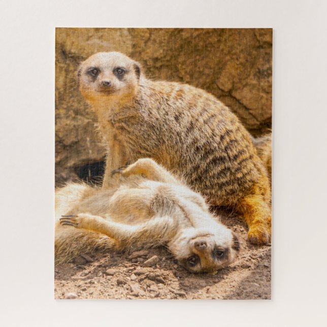 Cutest Baby Animals | Playful Meerkats Jigsaw Puzzle (Vertical)