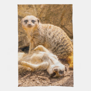 Cutest Baby Animals Playful Meerkats Tea Towel