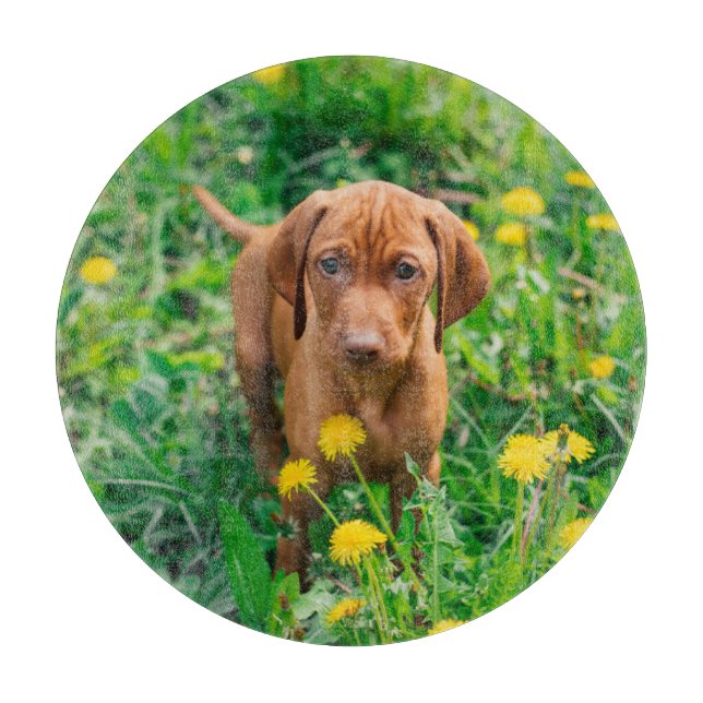 Cutest Baby Animals | Pointer Puppy Cutting Board (Front)