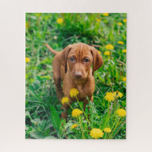 Cutest Baby Animals Pointer Puppy Jigsaw Puzzle