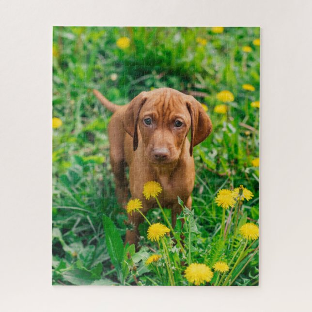 Cutest Baby Animals | Pointer Puppy Jigsaw Puzzle (Vertical)