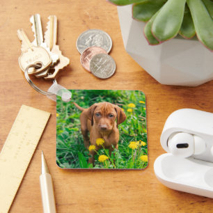 Cutest Baby Animals Pointer Puppy Key Ring