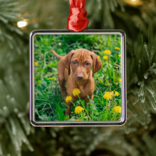 Cutest Baby Animals Pointer Puppy Metal Tree Decoration
