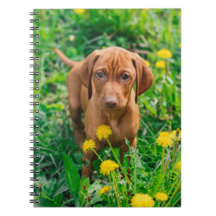 Cutest Baby Animals Pointer Puppy Notebook
