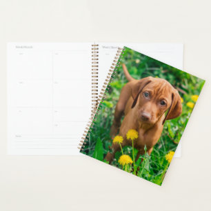 Cutest Baby Animals Pointer Puppy Planner