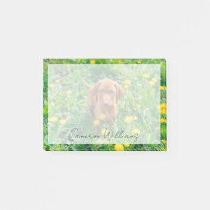 Cutest Baby Animals Pointer Puppy Post-it Notes