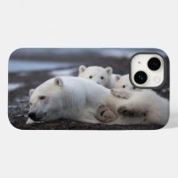 Cutest Baby Animals | Polar Bear Family Alaska