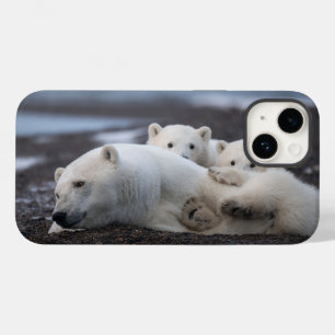 Cutest Baby Animals   Polar Bear Family Alaska Case-Mate iPhone 14 Case