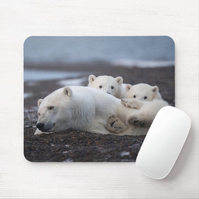 Cutest Baby Animals | Polar Bear Family Alaska Mouse Mat (With Mouse)