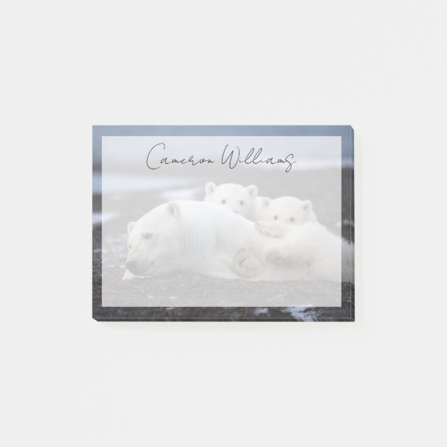 Cutest Baby Animals | Polar Bear Family Alaska Post-it Notes (Front)