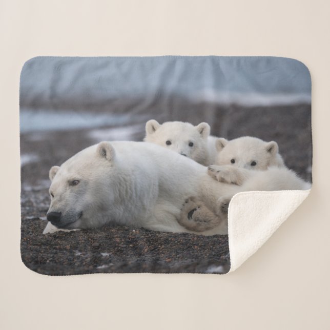 Cutest Baby Animals | Polar Bear Family Alaska Sherpa Blanket (Front (Horizontal))
