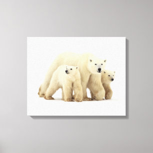Cutest Baby Animals   Polar Bear Family Canvas Print