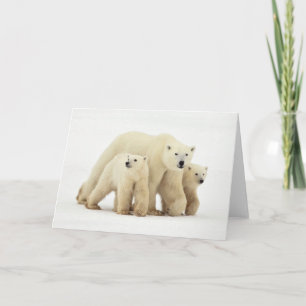Cutest Baby Animals Polar Bear Family Card