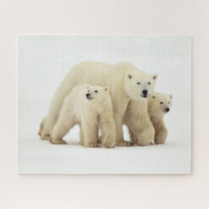 Cutest Baby Animals   Polar Bear Family Jigsaw Puzzle