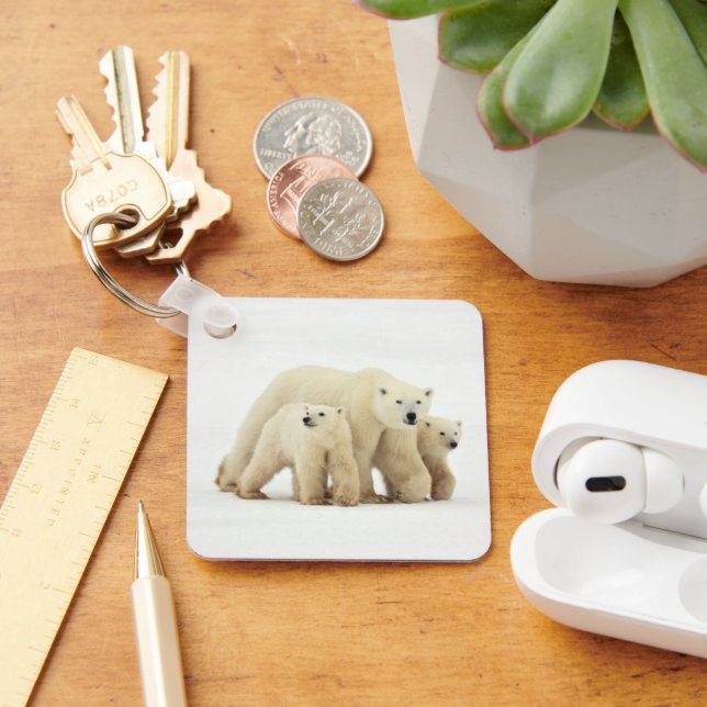 Cutest Baby Animals | Polar Bear Family Key Ring (Desk)
