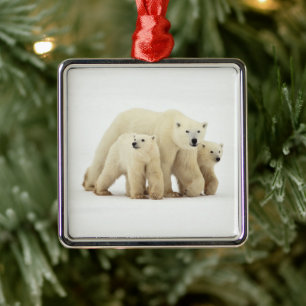 Cutest Baby Animals   Polar Bear Family Metal Tree Decoration